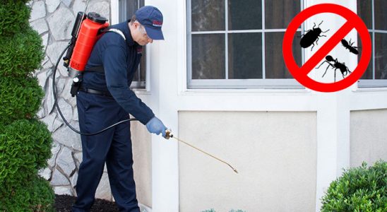 Kızıltepe Hamam Böceği İlaçlama böcek ilaçlama ve haşere kontrolü — ilaclama-tr.com